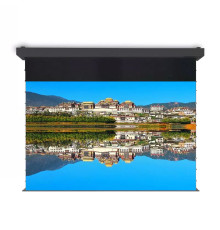 Экран моторизированный Deluxe FJ5-R100H (pvc светоотражающий) 221x 125